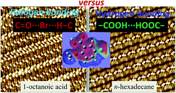 Graphical abstract: Halogen bonding versus hydrogen bonding induced 2D self-assembled nanostructures at the liquid–solid interface revealed by STM