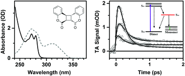 Graphical abstract: Photocleavage of coumarin dimers studied by femtosecond UV transient absorption spectroscopy