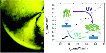 Graphical abstract: Photomanipulation of the anchoring strength using a spontaneously adsorbed layer of azo dendrimers