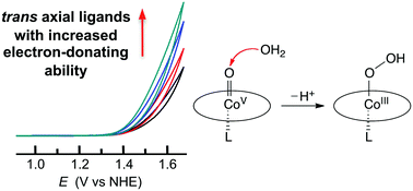 Graphical abstract: The effect of the trans axial ligand of cobalt corroles on water oxidation activity in neutral aqueous solutions