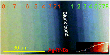 Graphical abstract: Systematic investigation of the SERS efficiency and SERS hotspots in gas-phase deposited Ag nanoparticle assemblies