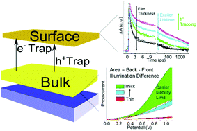 Graphical abstract: Implicating the contributions of surface and bulk states on carrier trapping and photocurrent performance of BiVO4 photoanodes