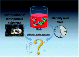 Graphical abstract: The effect of the buffer solution on the adsorption and stability of horse heart myoglobin on commercial mesoporous titanium dioxide: a matter of the right choice