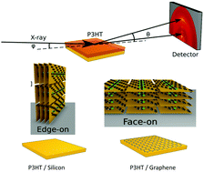 Graphical abstract: In situ probing of the crystallization kinetics of rr-P3HT on single layer graphene as a function of temperature