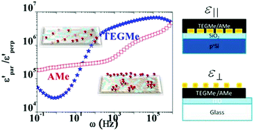 Graphical abstract: Hydration-controlled anisotropic and giant permittivity in TEG-functionalized eumelanin