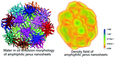 Graphical abstract: Amphiphilic nanosheet self-assembly at the water/oil interface: computer simulations