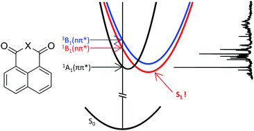 Graphical abstract: Vibrationally-resolved spectroscopic studies of electronically excited states of 1,8-naphthalic anhydride and 1,8-naphthalimide: a delicate interplay between one ππ* and two nπ* states