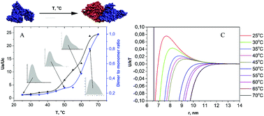 Graphical abstract: Thermally induced conformational changes and protein–protein interactions of bovine serum albumin in aqueous solution under different pH and ionic strengths as revealed by SAXS measurements