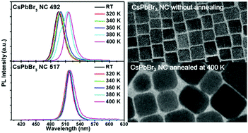 Graphical abstract: Thermal degradation of luminescence in inorganic perovskite CsPbBr3 nanocrystals