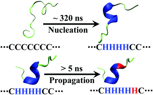 Graphical abstract: Microscopic nucleation and propagation rates of an alanine-based α-helix