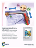 Graphical abstract: Back cover