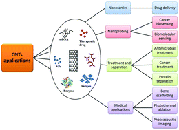 Graphical abstract: Carbon nanotubes: a novel material for multifaceted applications in human healthcare