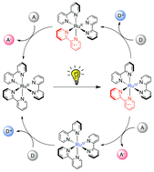 Graphical abstract: The photophysics of photoredox catalysis: a roadmap for catalyst design