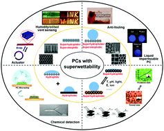 Graphical abstract: Bio-inspired photonic crystals with superwettability