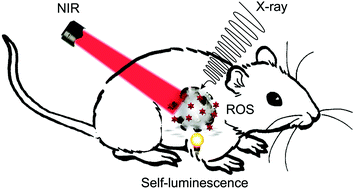 Graphical abstract: Overcoming the Achilles' heel of photodynamic therapy