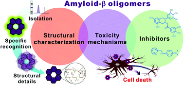 Graphical abstract: Towards an understanding of amyloid-β oligomers: characterization, toxicity mechanisms, and inhibitors