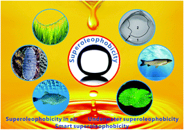 Graphical abstract: Superoleophobic surfaces