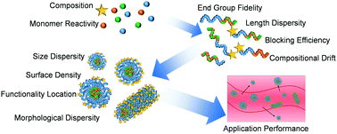 Graphical abstract: Dispersity effects in polymer self-assemblies: a matter of hierarchical control