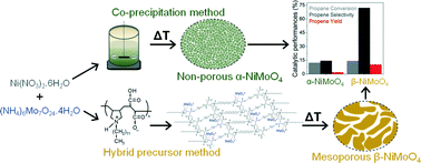 Graphical abstract: Self-assembled hybrid precursors towards more efficient propane ODH NiMoO4 catalysts