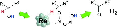 Graphical abstract: Supported rhenium nanoparticle catalysts for acceptorless dehydrogenation of alcohols: structure–activity relationship and mechanistic studies