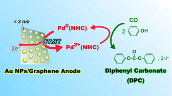 Graphical abstract: Electrosynthesis of diphenyl carbonate by homogeneous Pd electrocatalysts using Au nanoparticles on graphene as efficient anodes