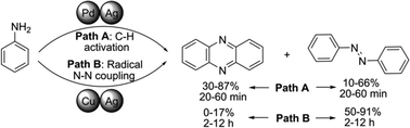 Graphical abstract: The palladium and copper contrast: a twist to products of different chemotypes and altered mechanistic pathways