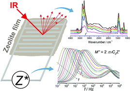 Graphical abstract: The effect of Cu and Fe cations on NH3-supported proton transport in DeNOx-SCR zeolite catalysts