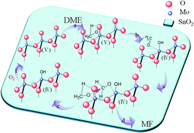 Graphical abstract: The effects of the Mo–Sn contact interface on the oxidation reaction of dimethyl ether to methyl formate at a low reaction temperature