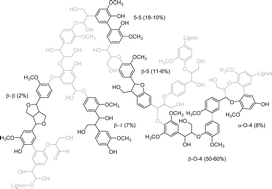 Graphical abstract: Catalytic hydrotreatment of Alcell lignin fractions using a Ru/C catalyst