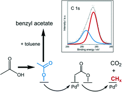 Graphical abstract: Nature of surface carbon species and pathways of their formation in the heterogeneously catalysed acetoxylation of toluene