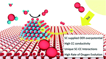 Graphical abstract: Critical role of interfacial effects on the reactivity of semiconductor-cocatalyst junctions for photocatalytic oxygen evolution from water