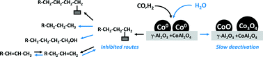 Graphical abstract: On the performance of a Co-based catalyst supported on modified γ-Al2O3 during Fischer–Tropsch synthesis in the presence of co-fed water