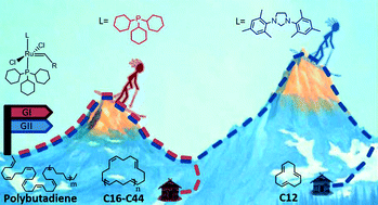 Graphical abstract: Depolymerization of 1,4-polybutadiene by metathesis: high yield of large macrocyclic oligo(butadiene)s by ligand selectivity control