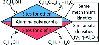 Graphical abstract: Kinetics and mechanisms of alcohol dehydration pathways on alumina materials