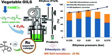 Graphical abstract: Heterogeneous catalysis for valorisation of vegetable oils via metathesis reactions: ethenolysis of methyl oleate