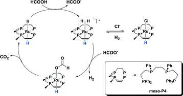 Graphical abstract: An active, stable and recyclable Ru(ii) tetraphosphine-based catalytic system for hydrogen production by selective formic acid dehydrogenation