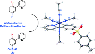 Graphical abstract: Mechanistic insight into ruthenium catalysed meta-sulfonation of 2-phenylpyridine