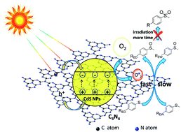 Graphical abstract: Highly selective oxidation of sulfides on a CdS/C3N4 catalyst with dioxygen under visible-light irradiation