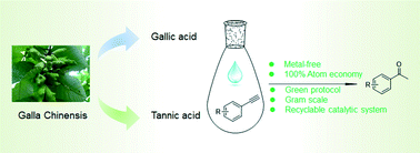 Graphical abstract: An environmentally benign hydration of alkynes catalyzed by gallic acid/tannic acid in water