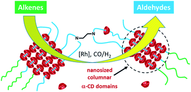 Graphical abstract: Tetronics/cyclodextrin-based hydrogels as catalyst-containing media for the hydroformylation of higher olefins