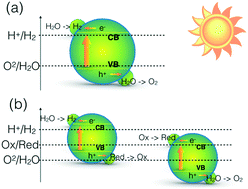 Graphical abstract: Review of two-dimensional materials for photocatalytic water splitting from a theoretical perspective