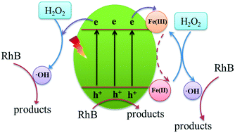 Graphical abstract: Effect of in situ Fe(ii)/Fe(iii)-doping on the visible light-Fenton-like catalytic activity of Bi/BiOBr hierarchical microspheres