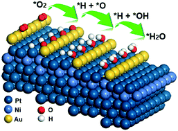 Graphical abstract: Promoting the oxygen reduction reaction with gold at step/edge sites of Ni@AuPt core–shell nanoparticles