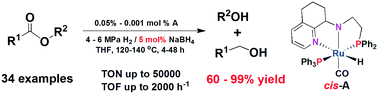 Graphical abstract: Cooperative interplay between a flexible PNN-Ru(ii) complex and a NaBH4 additive in the efficient catalytic hydrogenation of esters