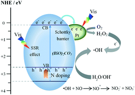 Graphical abstract: Pt quantum dots deposited on N-doped (BiO)2CO3: enhanced visible light photocatalytic NO removal and reaction pathway