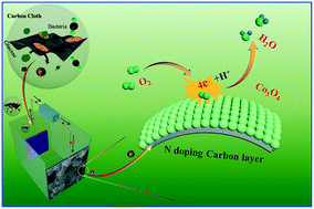 Graphical abstract: Enhanced activity and stability of Co3O4-decorated nitrogen-doped carbon hollow sphere catalysts for microbial fuel cells