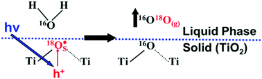 Graphical abstract: Catalytic role of bridging oxygens in TiO2 liquid phase photocatalytic reactions: analysis of H216O photooxidation on labeled Ti18O2