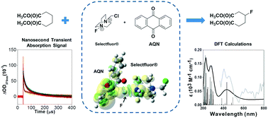 Graphical abstract: Mechanistic insights for the photoredox organocatalytic fluorination of aliphatic carbons by anthraquinone using time-resolved and DFT studies