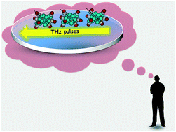 Graphical abstract: Controlling dark catalysis with quasi half-cycle terahertz pulses