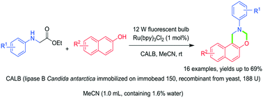 Graphical abstract: Enzyme and photoredox sequential catalysis for the synthesis of 1,3-oxazine derivatives in one pot